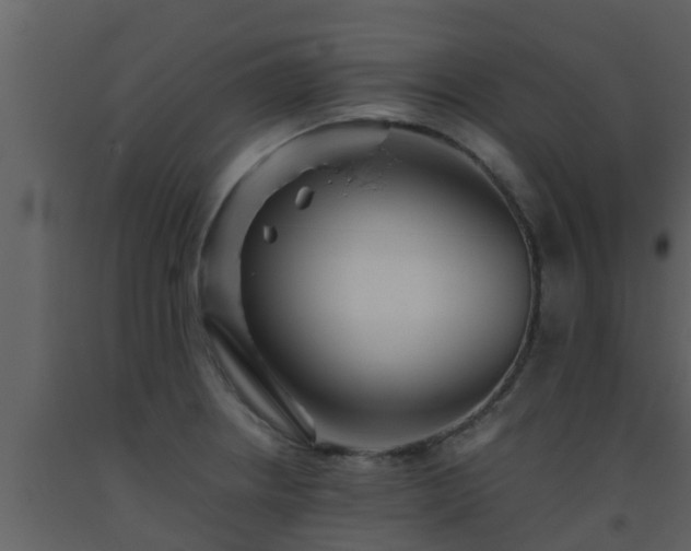 X0000093531234200710191347