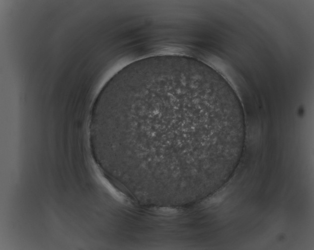 X0000093531235200710191347