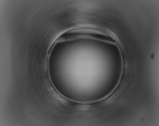 X0000093531236200710191347