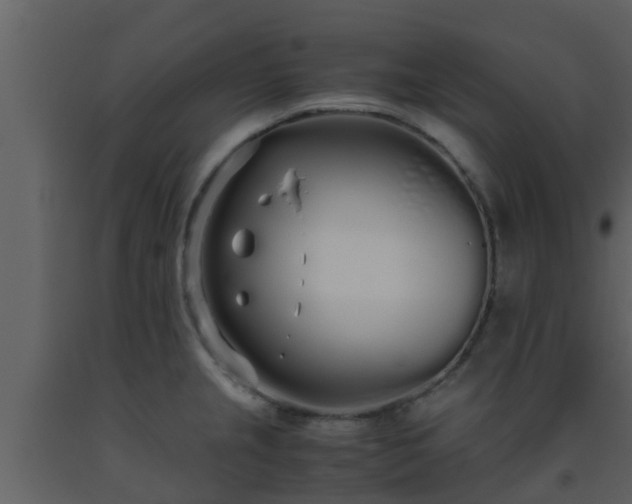 X0000093531237200710191347