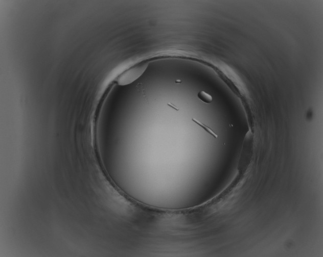 X0000093531238200710191347