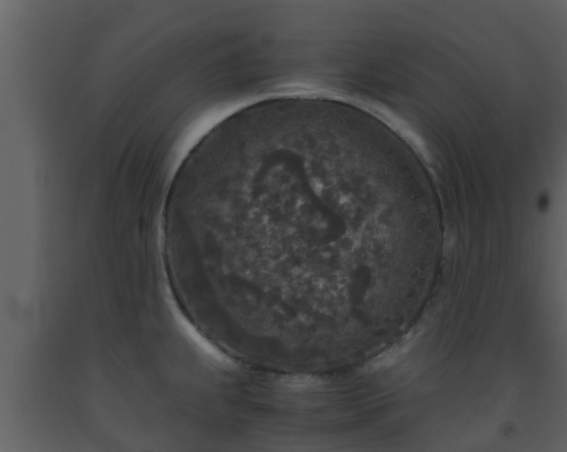 X0000093531239200710191347