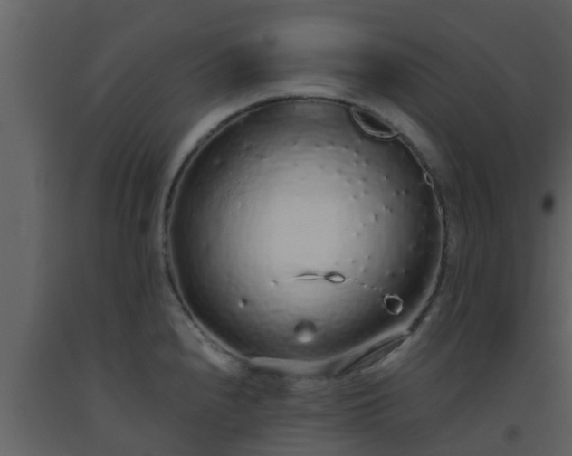 X0000093531240200710191347
