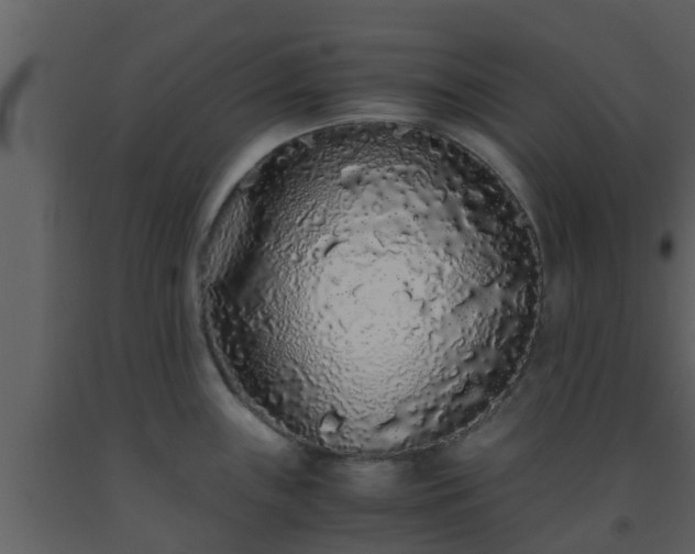 X0000093531243200710191347