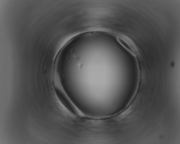 X0000093531244200710191347