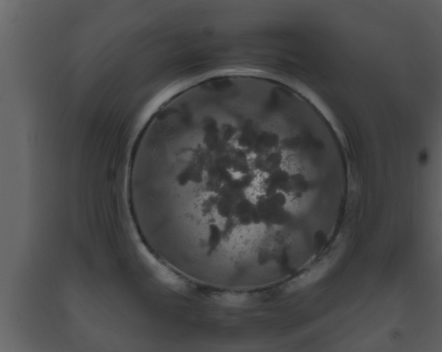 X0000093531245200710191347