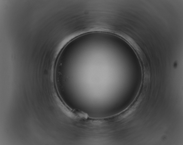X0000093531246200710191347
