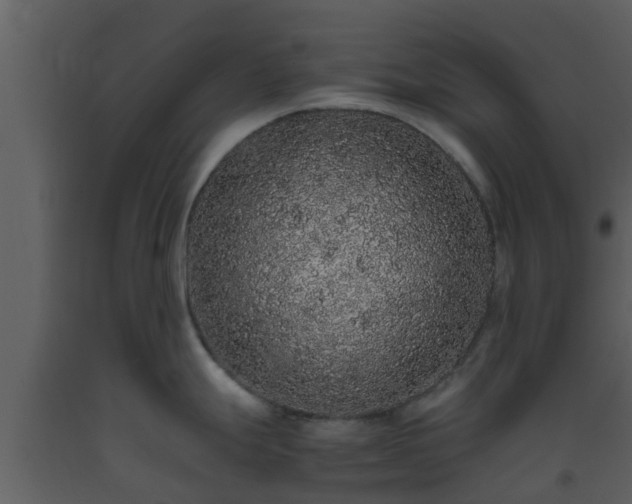 X0000093531247200710191347