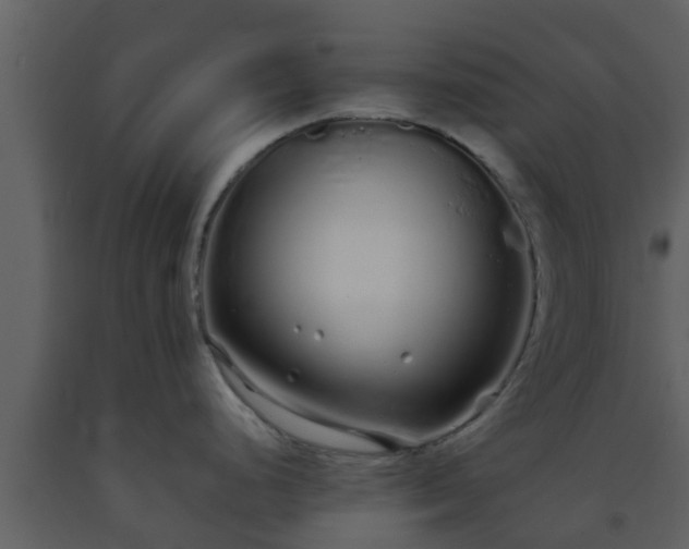 X0000093531248200710191347