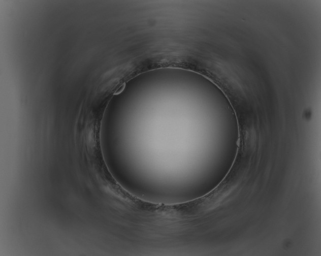 X0000093531250200710191346