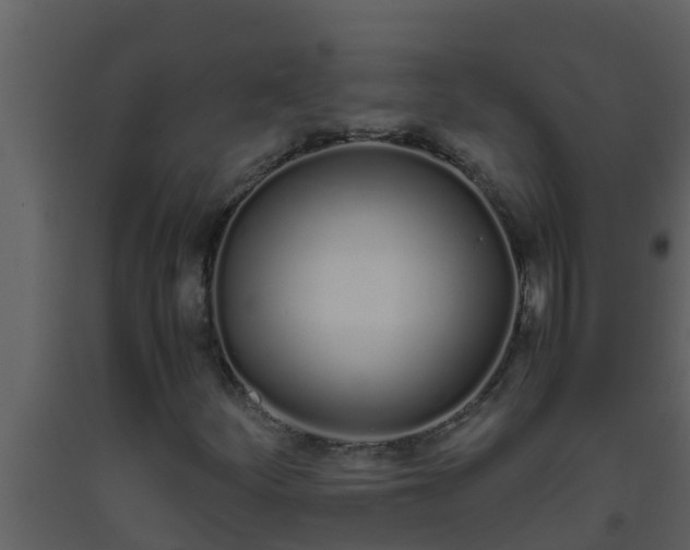 X0000093531252200710191346