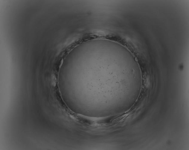 X0000093531253200710191346