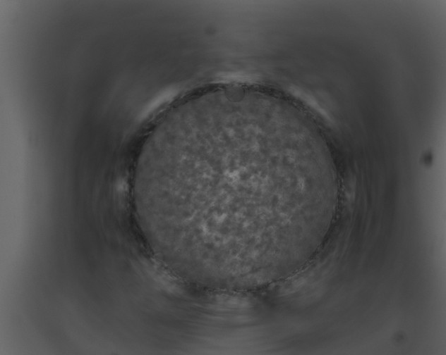 X0000093531254200710191346