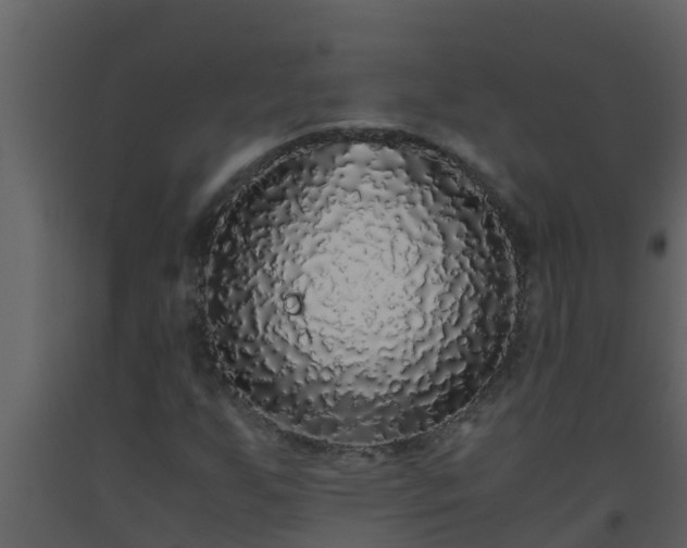 X0000093531255200710191346