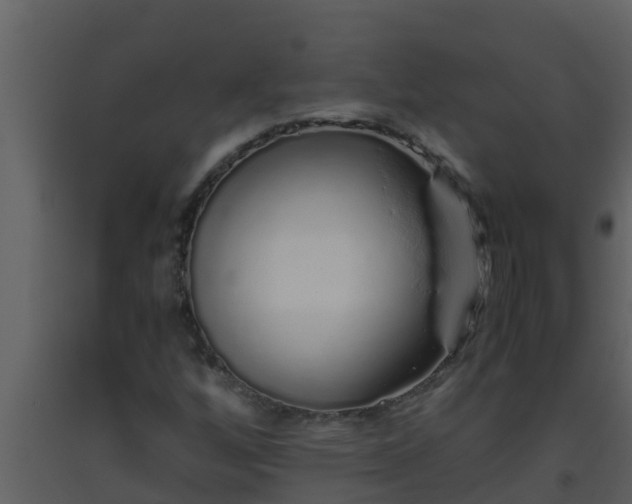 X0000093531256200710191346