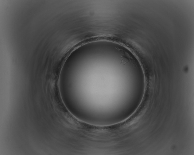 X0000093531257200710191346