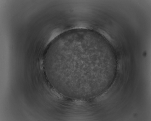 X0000093531258200710191346