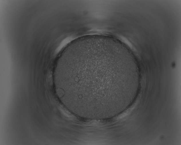 X0000093531259200710191346