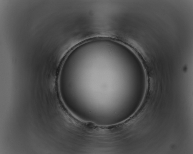 X0000093531260200710191346