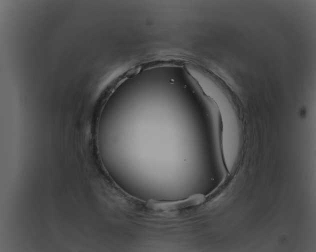 X0000093531261200710191346
