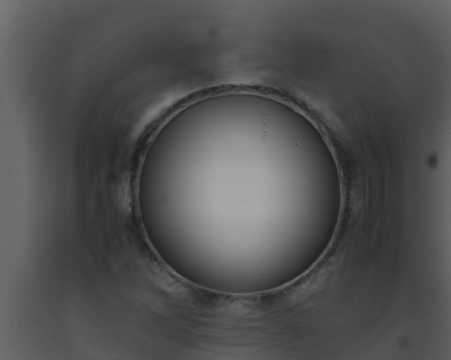X0000093531262200710191346