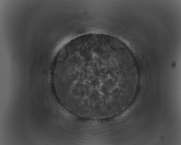 X0000093531263200710191346