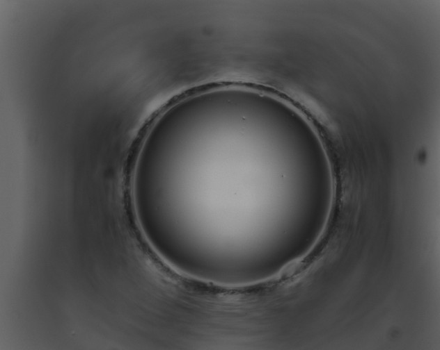 X0000093531264200710191346