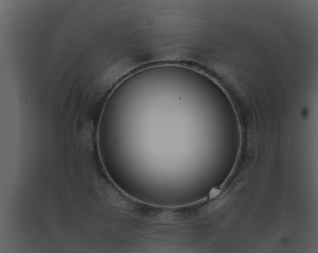 X0000093531265200710191346
