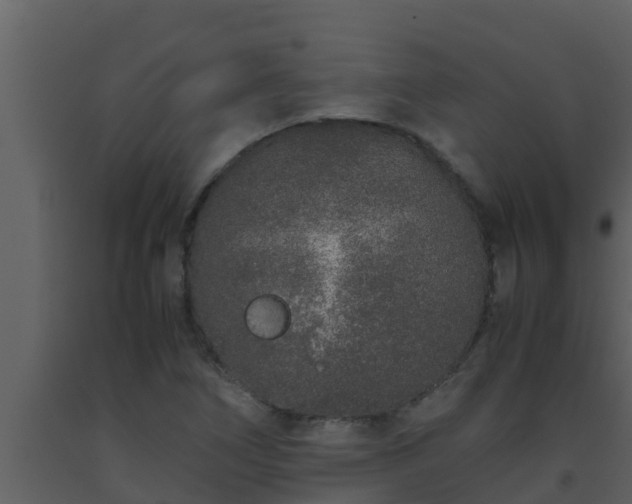 X0000093531266200710191346