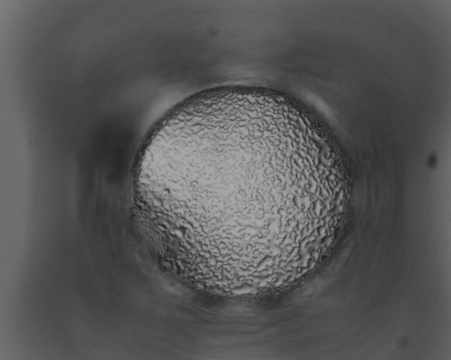 X0000093531267200710191346