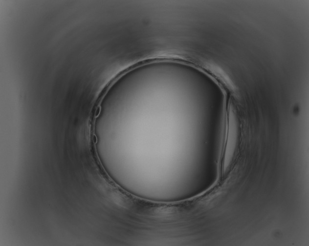 X0000093531268200710191346