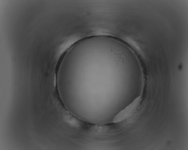 X0000093531269200710191346