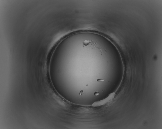 X0000093531270200710191346