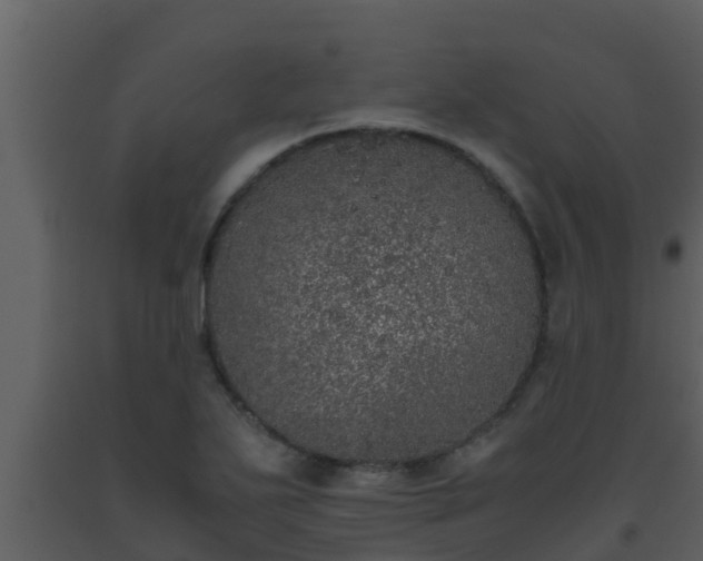 X0000093531271200710191346