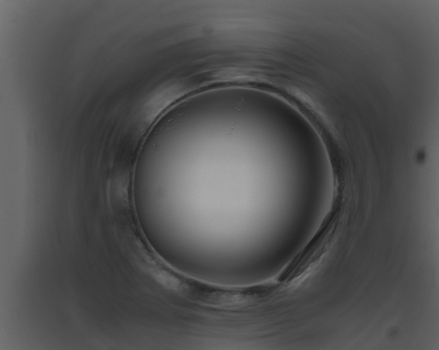 X0000093531273200710191346