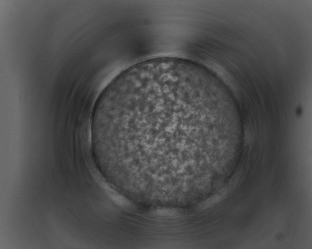 X0000093531274200710191346