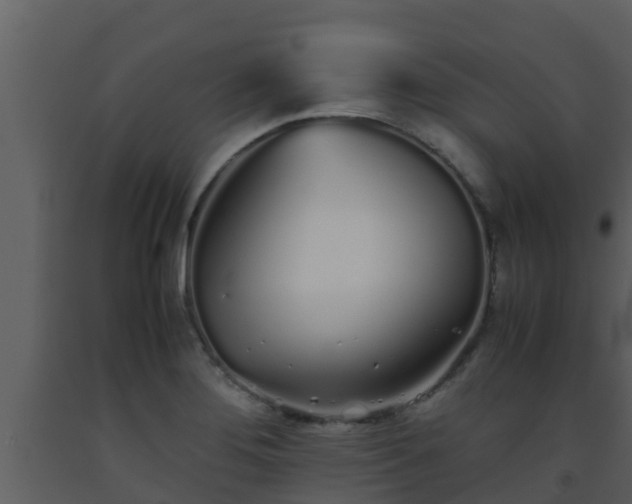 X0000093531276200710191346
