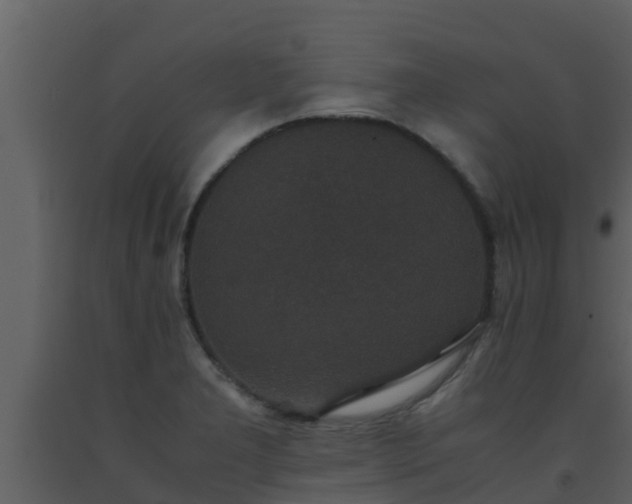 X0000093531277200710191346