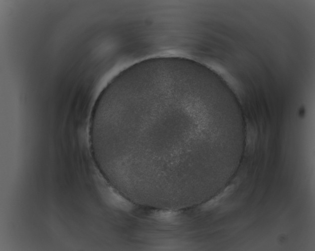 X0000093531278200710191346