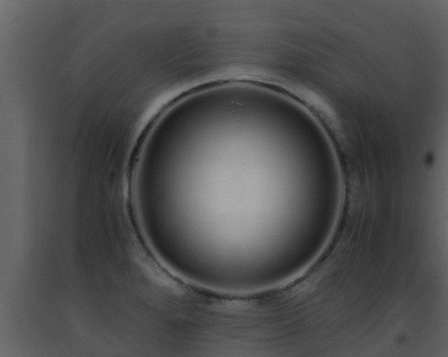 X0000093531280200710191346