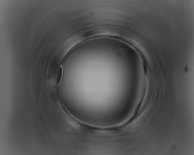 X0000093531281200710191346