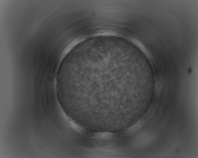 X0000093531282200710191346