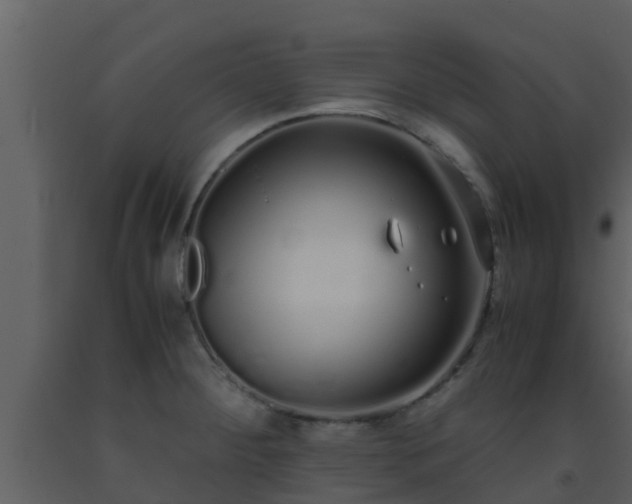 X0000093531284200710191346