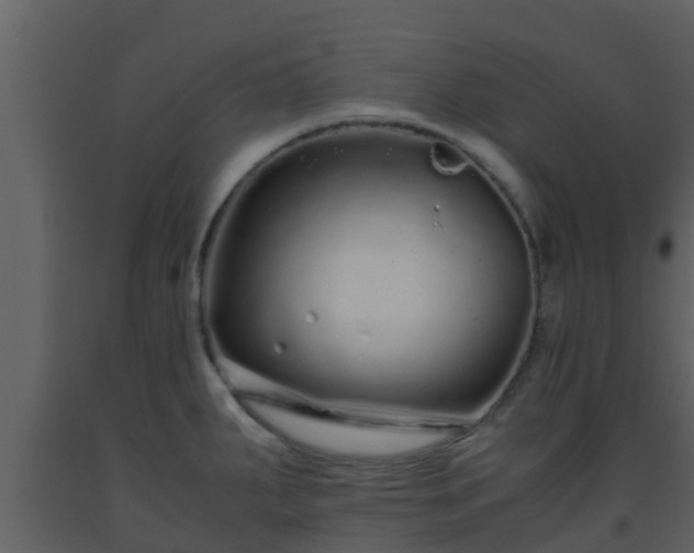 X0000093531287200710191346
