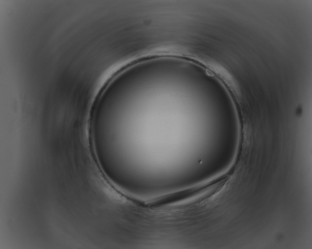 X0000093531288200710191346