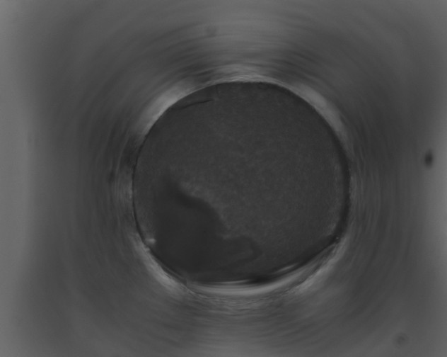 X0000093531289200710191346