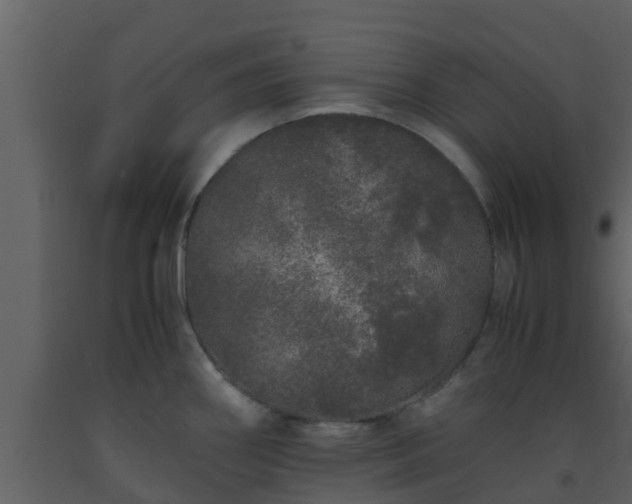 X0000093531290200710191346