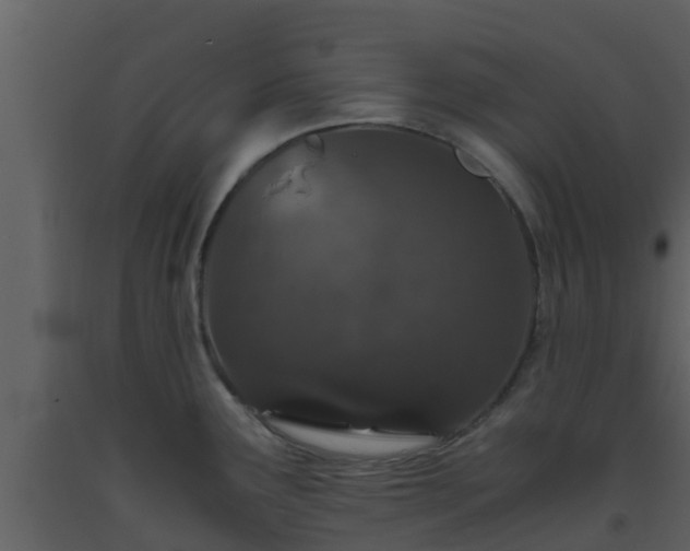 X0000093531291200710191346
