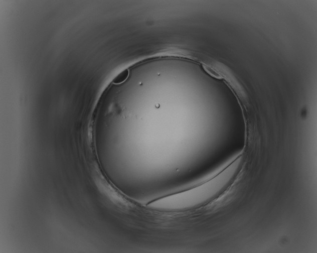 X0000093531292200710191346