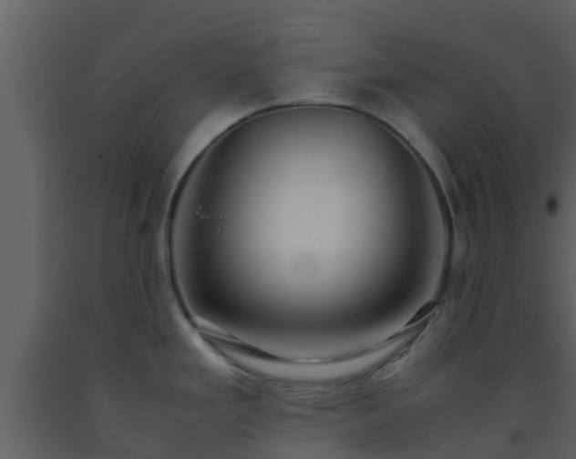 X0000093531293200710191345